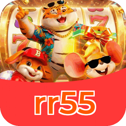 Interface rr55